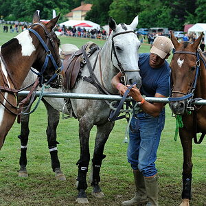 3 20100619 161909 polo wallerstein
