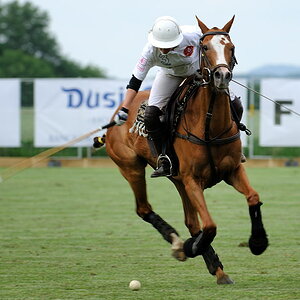 8 20100619 174354 polo wallerstein