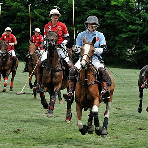 19 20100620 144826 polo wallerstein