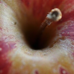 Apfel