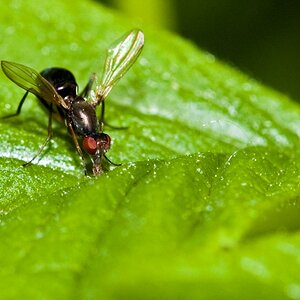 comp DSC 1656 bearbeitet 2