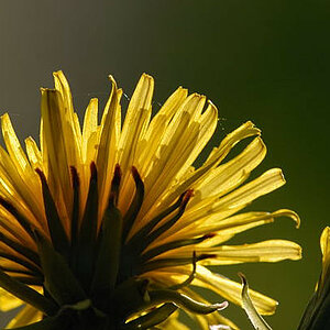 2010 05 05 18 17 53