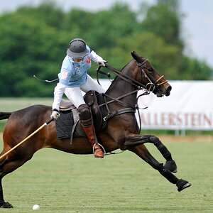 25 20100620 151715 polo wallerstein