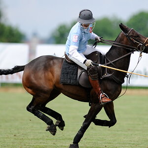 26 20100620 151715 polo wallerstein 01
