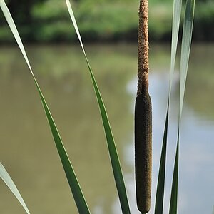 Weiher 14