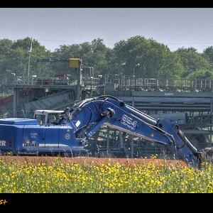 Liebherr954