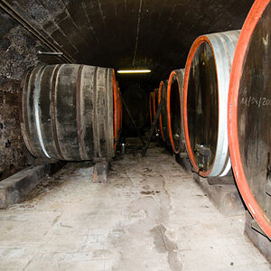 ASV   Weingut Kern less Tee 12 06 2010 099