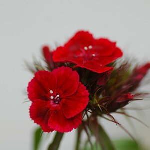 20100613 18