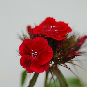 20100613 19