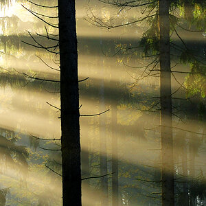 Sonne3