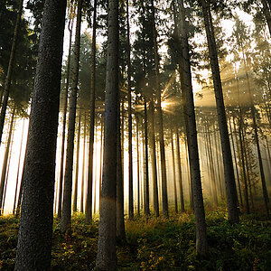 Sonne1