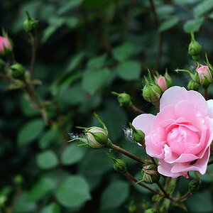 D30 5580 copy