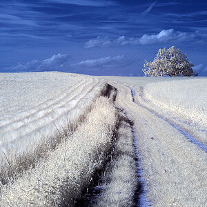 The way to... 2