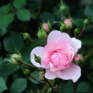 D30 5606 copy