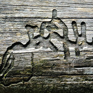 04 20100604 111258 Deininger Weiher 1