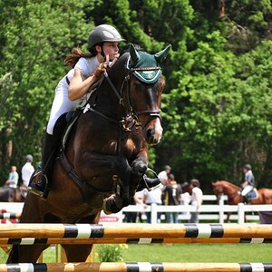 comp DSC 0125