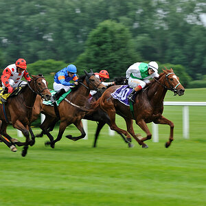 03 20100613 150735 galopp muenchen 03