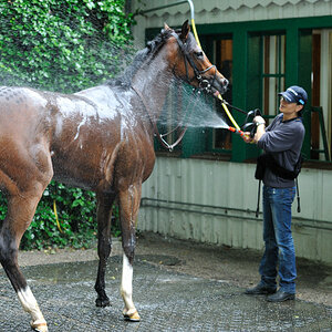 05 20100613 154610 galopp muenchen