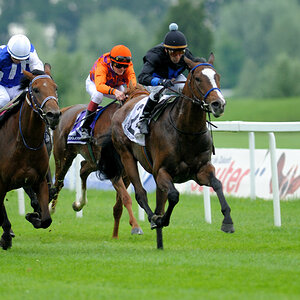 06 20100613 143437 galopp muenchen