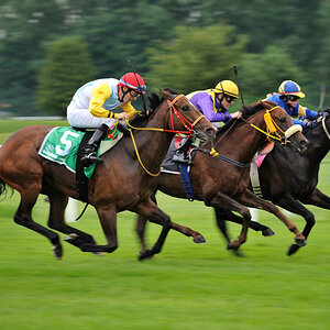 07 20100613 160905 galopp muenchen