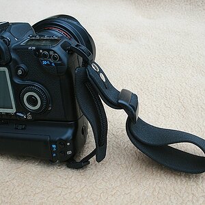 comp IMG 3331