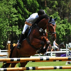 comp DSC 0081