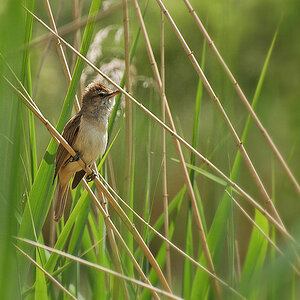 DSC 5543 1024