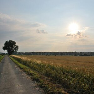Radtour Asse 2009, links von uns ist das "Hanf-Bild" entstanden