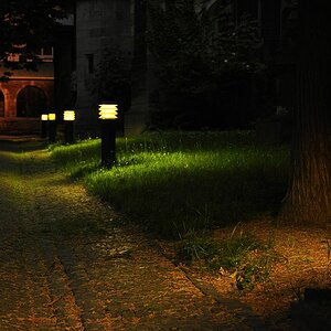 Aus erster Testreihe mit der D90.
Iso1000