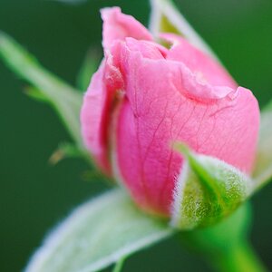 20100713 195503