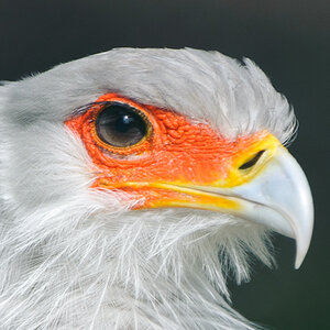 20100717 7511 [NIKON D700],400 mm,1 800 Sek. bei f   4,0