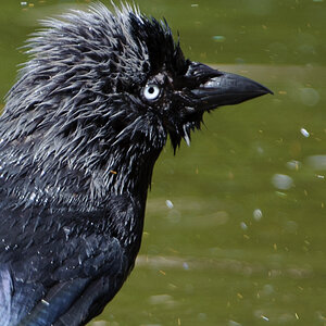 20100717 7572 [NIKON D700],400 mm,1 640 Sek. bei f   4,0