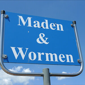 P1000944 Maden w