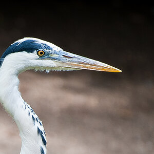 20100717 7578 [NIKON D700],400 mm,1 400 Sek. bei f   4,0 extern 66 2