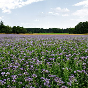 2010072118134933
