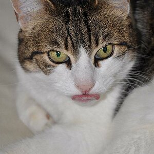 Was ist!?