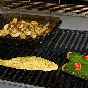 Alles direkt gegrillt