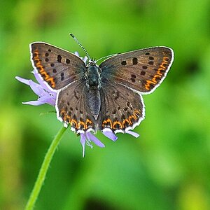 [No title]