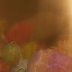 Blumen