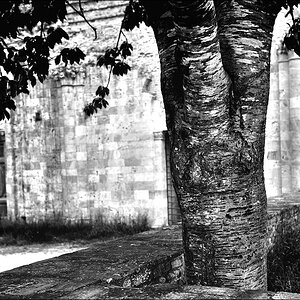 San Galgano, Toscana 05/2010