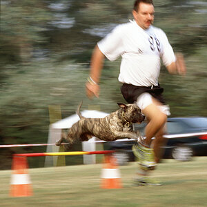 agility
