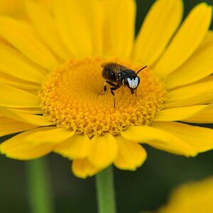 macro 10