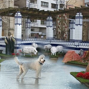 Gijon
04 Jan 2010 3675 b