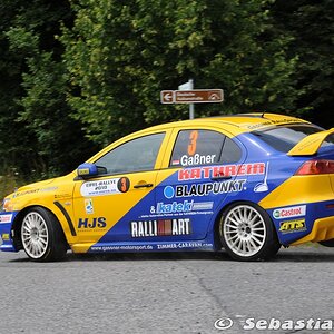 Eifel Rallye 2010 - H.Gassner