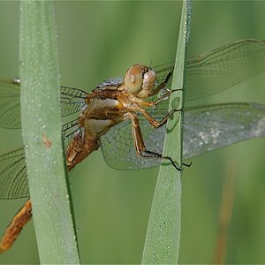 DSC 1768