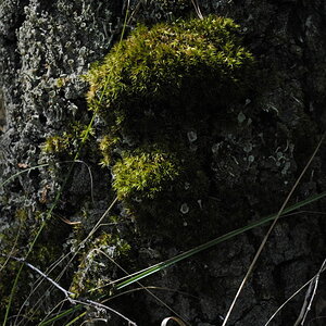 DSC0015 00122