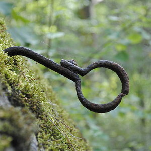 DSC0053 00123