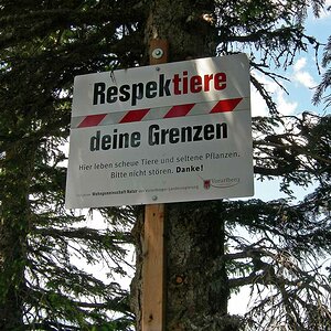 Respektiere