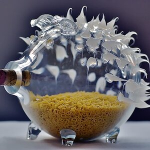 Käseigel