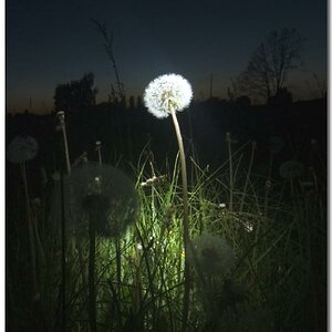 streetlight